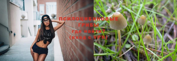 ГАЛЛЮЦИНОГЕННЫЕ ГРИБЫ Верхнеуральск