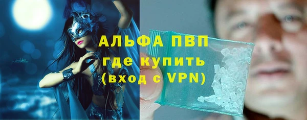 сатива Верея