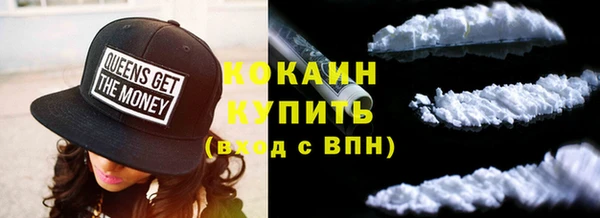 сатива Верея