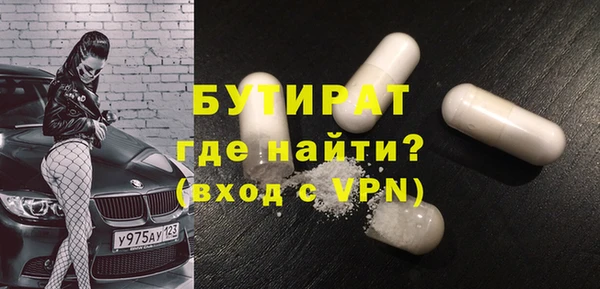 сатива Верея
